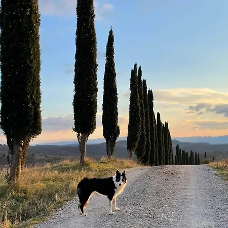 Il Giardino Degli Ulivi Venkovský dům